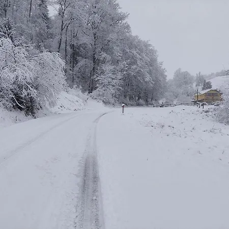 فندق مبيت وإفطار Zelena Oaza 3*