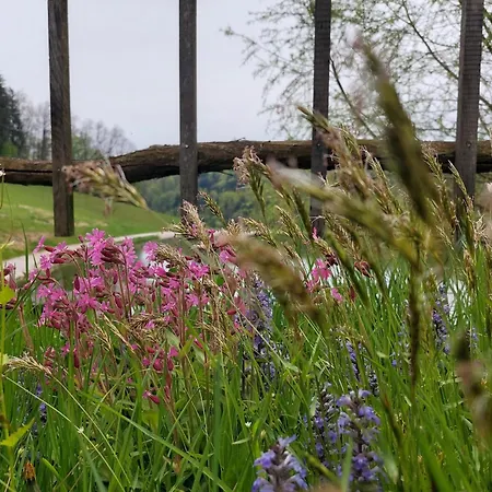Zelena Oaza Oda ve Kahvaltı Zgornja Kungota
