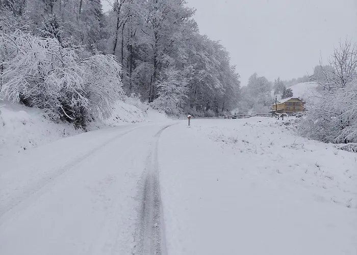 Frühstückspension Zelena Oaza 3*