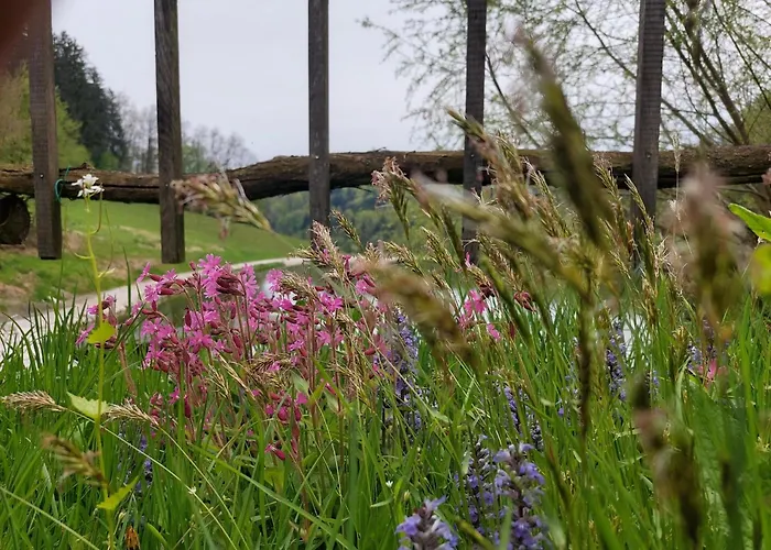 Zelena Oaza Bed & Breakfast Zgornja Kungota