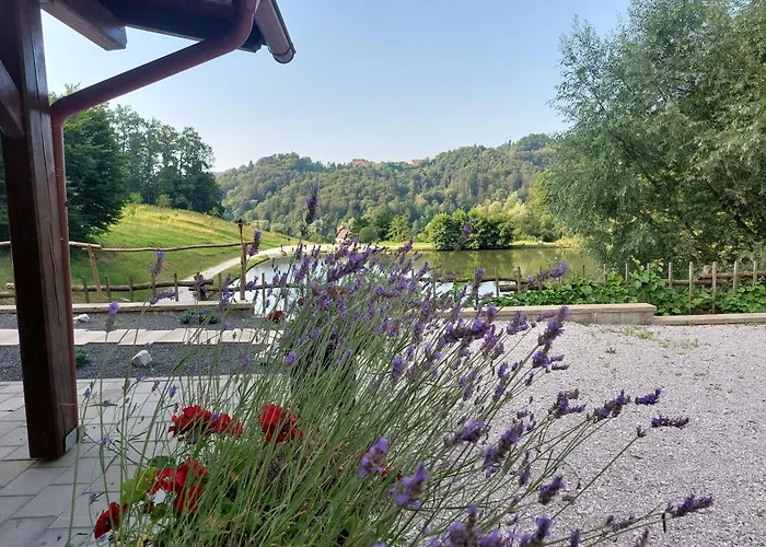 Zelena Oaza Bed & Breakfast